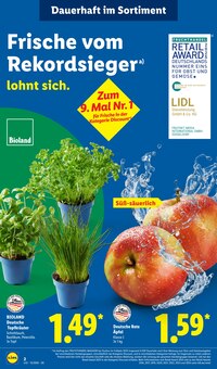 Äpfel im Lidl Prospekt "LIDL LOHNT SICH" mit 68 Seiten (Essen)