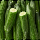 Concombre dans le catalogue Carrefour Market