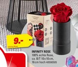 INFINITY ROSE von  im aktuellen Höffner Prospekt für 9,00 €