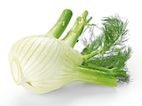 Fenchel Angebote von REWE Regional bei REWE Dortmund für 1,99 €
