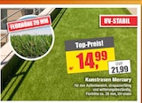 Kunstrasen Mercury im Angebot bei wohnen & sparen Wiegand in Eisenach Kunstrasen Mercury Angebote bei wohnen & sparen Wiegand Eisenach für 14,99 €