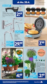 Aktueller ALDI SÜD Prospekt mit Lavendel, "Gutes für Alle.", Seite 15