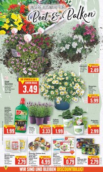 Blumen im E center Prospekt "Aktuelle Angebote" mit 20 Seiten (Berlin)