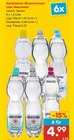 Aktuelles Mineralwasser oder Nearwater Angebot bei Netto Marken-Discount in Cottbus ab 4,99 €