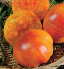 Plants de tomates en promo chez Hyper U La Rochelle à 1,90 €