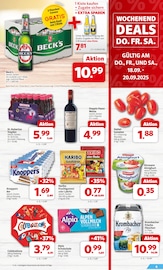 Bier im nah&frisch Prospekt in Rinteln Aktueller nah&frisch Prospekt mit Bier, "DER MARKT FÜR GUTES ESSEN UND TRINKEN", Seite 4