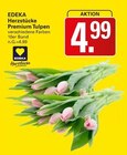 Herzstücke Premium Tulpen Angebote von EDEKA bei WEZ Bad Oeynhausen für 4,99 €