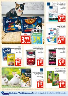 Katzenstreu im aktuellen E center Prospekt (Rostock) Katzenstreu im E center Prospekt "Top Angebote" mit 44 Seiten (Rostock)