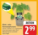 Salatgurke für 2,99 € bei EDEKA im Angebot Salatgurke im aktuellen EDEKA Prospekt