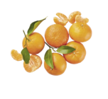 Aldi Corbeil-Essonnes - Promo Clémentines Promo Clémentines à 1,59 € dans le catalogue Aldi à Corbeil-Essonnes