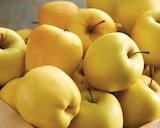 Promo Pomme à 1,79 € dans le catalogue Intermarché Contact à Camaret-sur-Aiguës
