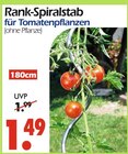 Rank-Spiralstab Angebote bei Wreesmann Bremerhaven für 1,49 €