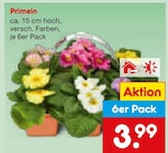 Aktuelles Primeln Angebot bei Netto Marken-Discount in Bochum ab 3,99 €