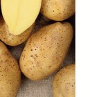 Promo El mundo à 6,90 € dans le catalogue Espace Emeraude à Jettingen