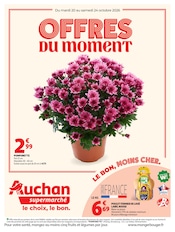 Prospectus Supermarchés Auchan Supermarché en cours à Arcueil et alentours, "OFFRES DU MOMENT", 8 pages, 20/10/2026 - 24/10/2026 Catalogue Supermarchés Auchan Supermarché en cours à Arcueil et alentours, "OFFRES DU MOMENT", 8 pages, 20/10/2026 - 24/10/2026