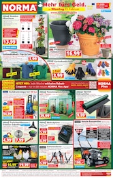 Blumentopf Angebot im aktuellen Norma Prospekt auf Seite 1