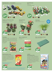 Pflanzenerde im V-Markt Prospekt "V-Markt einfach besser einkaufen" mit 26 Seiten (München)