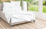 Aktuelles Sommerbett, 'Alcando' Angebot bei Segmüller in Darmstadt ab 19,99 €