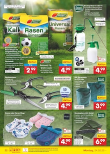 Schuhe im Netto Marken-Discount Prospekt "Aktuelle Angebote" mit 65 Seiten (Darmstadt)