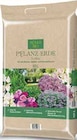 Pflanz-Erde – Torffrei im Angebot bei Pflanzen Kölle in Hamburg Pflanz-Erde – Torffrei Angebote bei Pflanzen Kölle Hamburg für 5,99 €