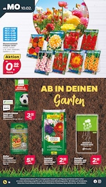 Aktueller Netto mit dem Scottie Prospekt mit Blumenerde, "Günstig. Besser. Für Dich.", Seite 18