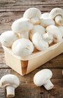 Champignon blanc - INTERMARCHÉ TERROIRS en promo chez Intermarché Hyper Champignon blanc - INTERMARCHÉ TERROIRS dans le catalogue Intermarché Hyper