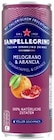 San Pellegrino von San Pellegrino für 0,79 € bei Thomas Philipps im Angebot San Pellegrino von San Pellegrino im aktuellen Thomas Philipps Prospekt