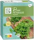 Bio Kräuter bei Penny im Bad Lobenstein Prospekt für 0,69 €