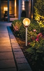 Aktuelle LED-Lampe Angebote bei Netto mit dem Scottie in Dresden Aktuelles LED-Solar-Glaskugellampe Angebot bei Netto mit dem Scottie in Dresden ab 5,99 €