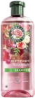 Shampoo im Angebot bei Müller in Langenhagen Shampoo Angebote von Herbal Essences bei Müller Langenhagen für 2,99 €
