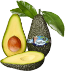 Aktuelles Avocado Angebot bei REWE in Stuttgart ab 1,99 €
