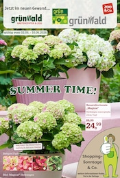 Garten-Center Nordharz GmbH & Co. KG Prospekt für Sarstedt: "SUMMER TIME!", 16 Seiten, 02.05.2026 - 10.05.2026