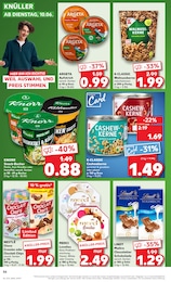 Kaufland Prospekt für Schwarmstedt mit 70 Seiten Kaufland Prospekt für Schwarmstedt: "KNÜLLER", 70 Seiten, 10.06.2025 - 11.06.2025