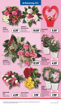 Blumen im Lidl Prospekt "LIDL LOHNT SICH" mit 59 Seiten (Würzburg)