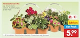 Herbstpflanzen Mix für 5,99 € bei Netto Marken-Discount im Angebot Herbstpflanzen Mix im aktuellen Netto Marken-Discount Prospekt