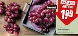 Aktuelle Weintrauben Angebote bei REWE in Leipzig Aktuelles Dunkle Tafeltrauben Angebot bei REWE in Leipzig ab 1,89 €