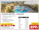 Flugreise Ägypten – Hurghada im aktuellen Netto Marken-Discount Prospekt