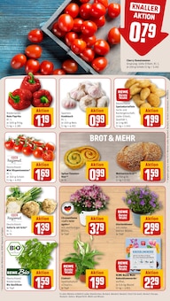 Blumen im REWE Prospekt "Dein Markt" mit 28 Seiten (Siegen (Universitätsstadt))