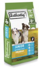 Gamm vert Saint-Dié-des-Vosges - Promo Croquettes Junior Authentiq'® Promo Croquettes Junior Authentiq'® à 52,99 € dans le catalogue Gamm vert à Saint-Dié-des-Vosges