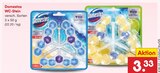 WC-Stein Angebote von Domestos bei Netto Marken-Discount Homburg für 3,33 €