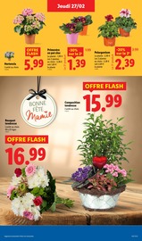 Fleurs Artificielles Angebote im Prospekt "Offres Flash !" von Lidl auf Seite 31