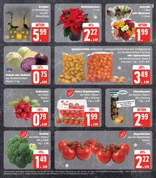Pflanzen Angebot im EDEKA Prospekt, gültig von 11.12.2023 bis 16.12.2023 Pflanzen Angebot im aktuellen EDEKA Prospekt auf Seite 11