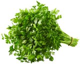 Glatte Petersilie Angebote bei REWE Rostock für 1,39 €