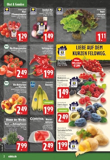 EDEKA Siegburg Prospekt der aktuellen Woche, gültig von 03.08.2026 bis 08.08.2026 Aktueller EDEKA Siegburg Prospekt "Aktuelle Angebote" mit 24 Seiten