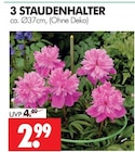STAUDENHALTER im Angebot bei Wreesmann in Freiberg STAUDENHALTER Angebote bei Wreesmann Freiberg für 2,99 €