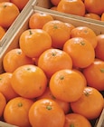 Promo Clémentine à 1,89 € dans le catalogue Netto à Annequin