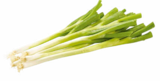 Lauchzwiebeln im Angebot bei Netto Marken-Discount in Rastatt Lauchzwiebeln Angebote von HEIMAT bei Netto Marken-Discount Rastatt für 0,49 €
