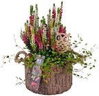 Herbstgefühle im Angebot bei REWE in Gießen Herbstgefühle Angebote bei REWE Gießen für 11,49 €