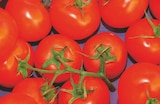 Promo Tomates rondes à 2,99 € dans le catalogue Norma à Hériménil