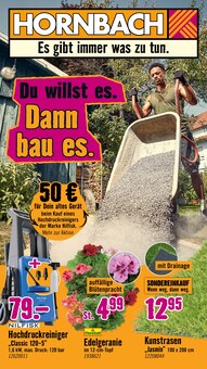 Geranien im Hornbach Prospekt "Du willst es. Dann bau es." mit 36 Seiten (Frankfurt (Main))